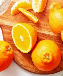 Orange Fruit Diamond Painting