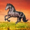 Orange Sky And Friesian Horse Diamond Painting