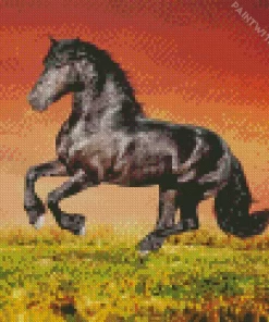 Orange Sky And Friesian Horse Diamond Painting