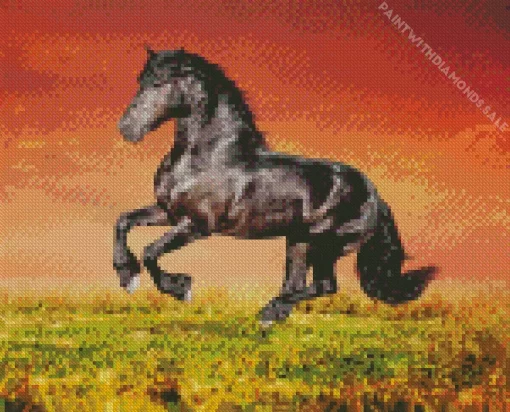 Orange Sky And Friesian Horse Diamond Painting