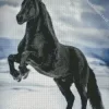 Rearing Friesian Horse Diamond Painting