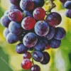 Red Grapes Close Up Diamond Painting