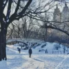 Snowy Central Park New York Diamond Painting