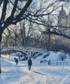 Snowy Central Park New York Diamond Painting