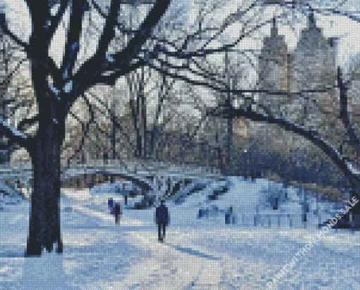 Snowy Central Park New York Diamond Painting