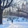 Snowy Central Park New York Diamond Painting