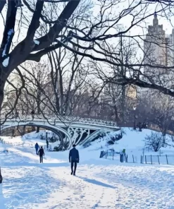 Snowy Central Park New York Diamond Painting