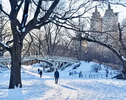 Snowy Central Park New York Diamond Painting