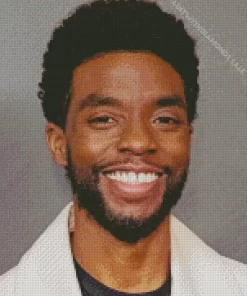 The Actor Chadwick Boseman Diamond Painting