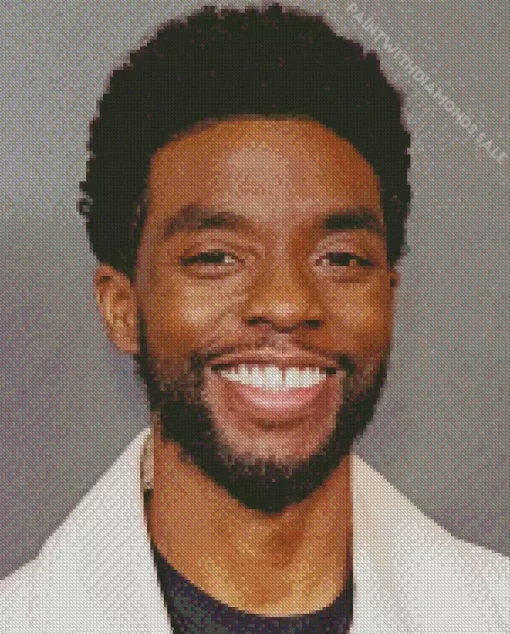 The Actor Chadwick Boseman Diamond Painting