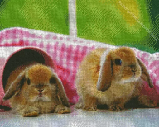 Two Little Bunnies Diamond Painting