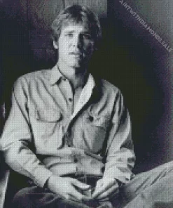 Young Harrison Ford Diamond Painting