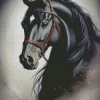 Aesthetic Black Horse Diamond Painting