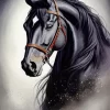 Aesthetic Black Horse Diamond Painting