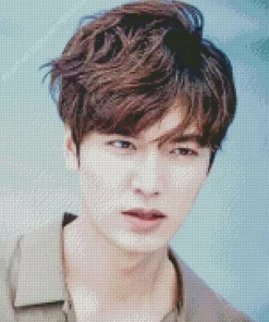 Aesthetic Lee Minho Diamond Painting