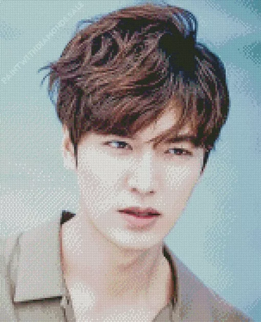 Aesthetic Lee Minho Diamond Painting