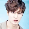 Aesthetic Lee Minho Diamond Painting