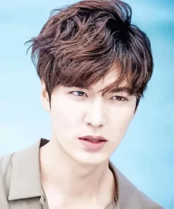 Aesthetic Lee Minho Diamond Painting