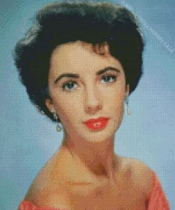 American Actress Elizabeth Taylor Diamond Painting