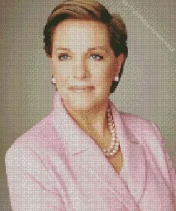 Andrews Julie On A Pink Suit Diamond Painting