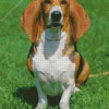 Basset Artesien Normand Dog Diamond Painting