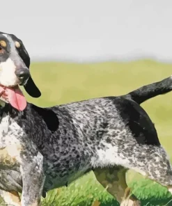 Basset Bleu De Gascogne Diamond Painting