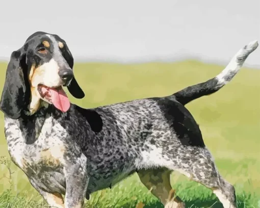 Basset Bleu De Gascogne Diamond Painting