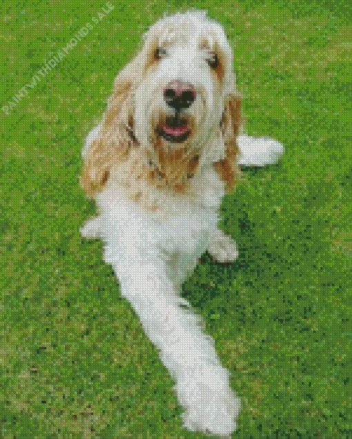 Basset Griffon Vendeen Puppy Diamond Painting