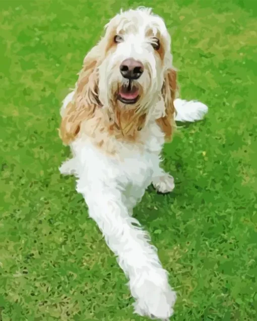 Basset Griffon Vendeen Puppy Diamond Painting