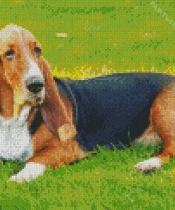 Basset Hound Dogs Diamond Painting