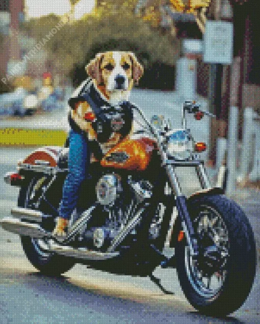 Beagle Dog On Motorcycle Diamond Painting