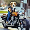 Beagle Dog On Motorcycle Diamond Painting