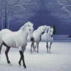 Beautiful White Horses In Snow Diamond Painting