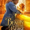 Beauty And The Beast poster Diamond Painting