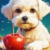 Bichon Frise Eating Candy Apple Diamond Painting