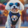 Bichon Frise with Sunglasses Diamond Painting