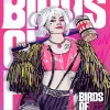 Birds Of Prey Movie Diamond Painting