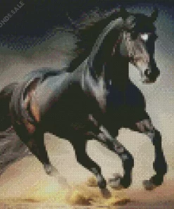 Black Horse Diamond Painting