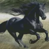 Black Horse Animal Diamond Painting