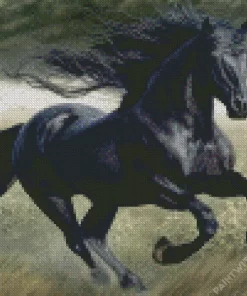 Black Horse Animal Diamond Painting