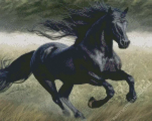 Black Horse Animal Diamond Painting