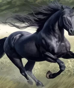 Black Horse Animal Diamond Painting