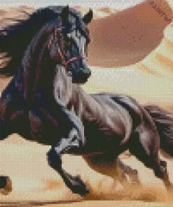 Black Horse In Desert Diamond Painting