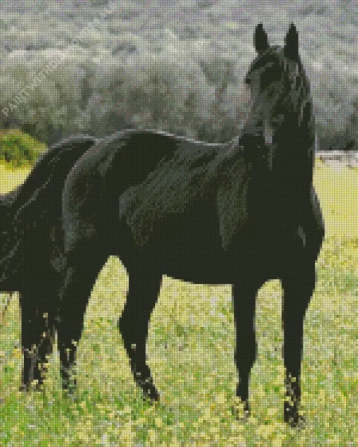 Black Horse In Flowers Field Diamond Painting