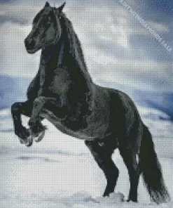 Black Horse In Snow Diamond Painting