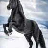 Black Horse In Snow Diamond Painting