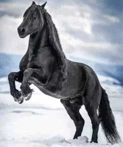 Black Horse In Snow Diamond Painting