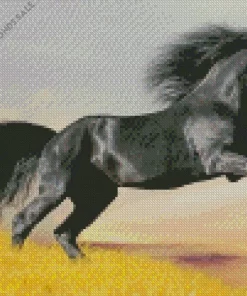 Black Horse Jumping Diamond Painting