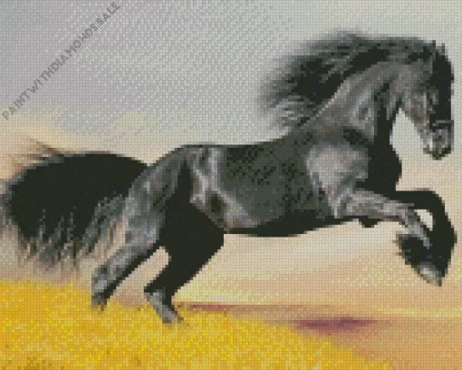 Black Horse Jumping Diamond Painting