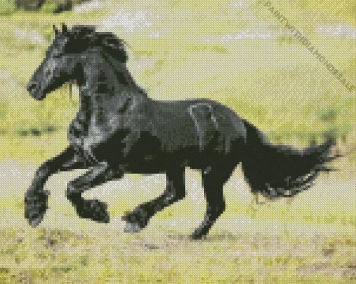 Black Horse Running Diamond Painting